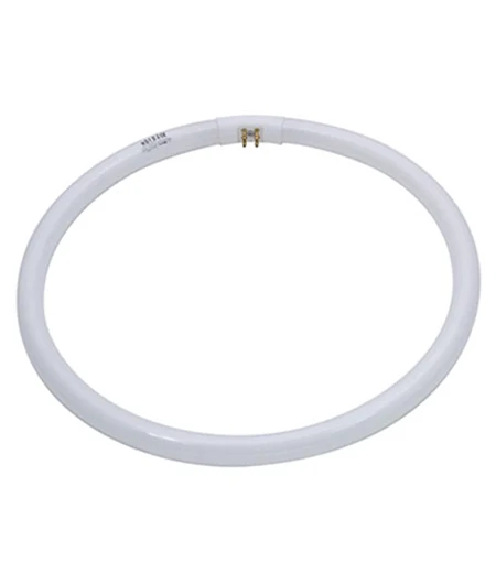 Circular Fluorescent Light Bulb