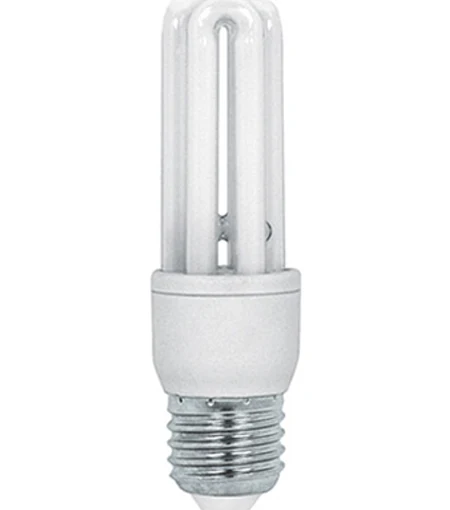 Compact Fluorescent Light Bulb